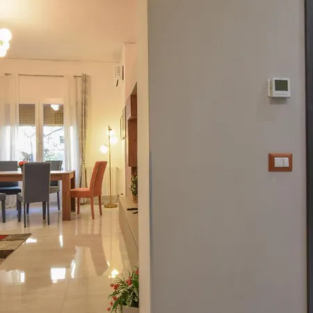 Apartment Gorgeous In With Kitchen